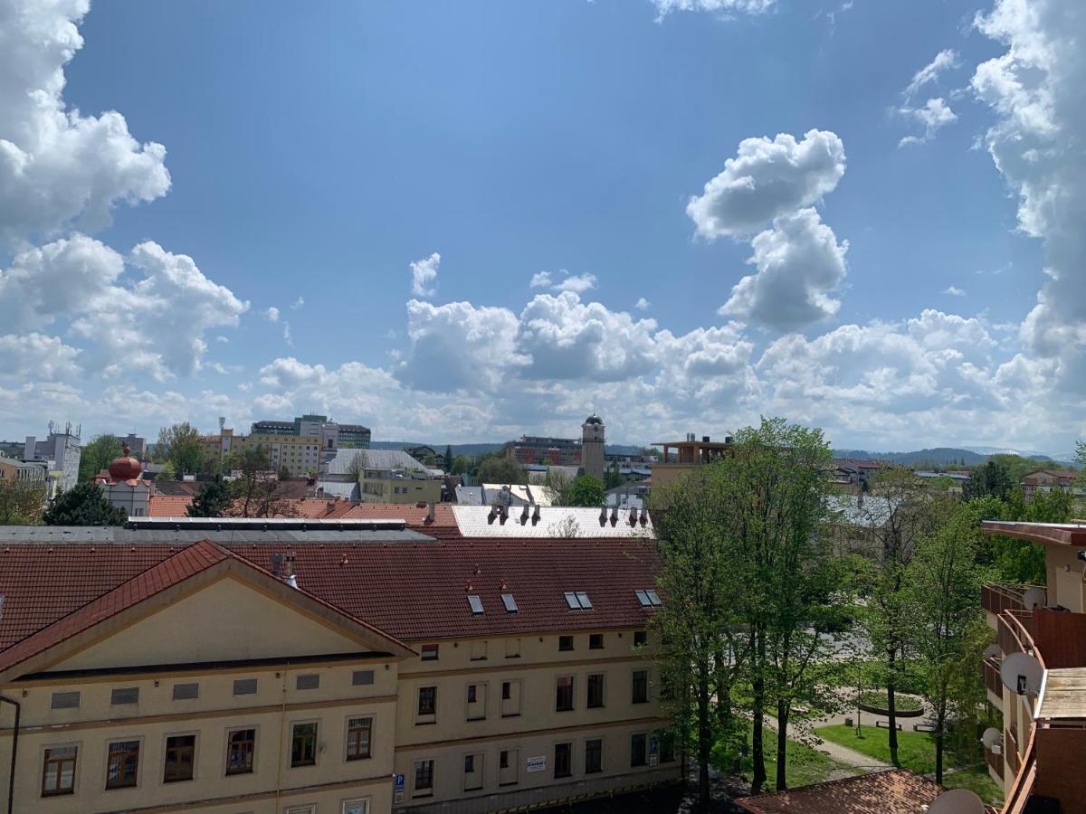 Apartament In The Center Of Poprad-Free Parking Екстер'єр фото